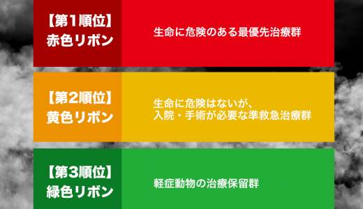 災害時の動物診療に関するトリアージ（優先順位）について