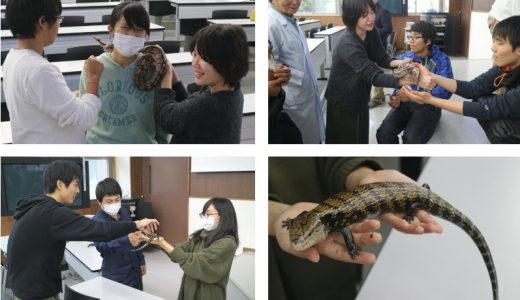 まずは、将来の先生から！「第６回 VET’S-えひめ 学校飼育動物講演会」のご報告