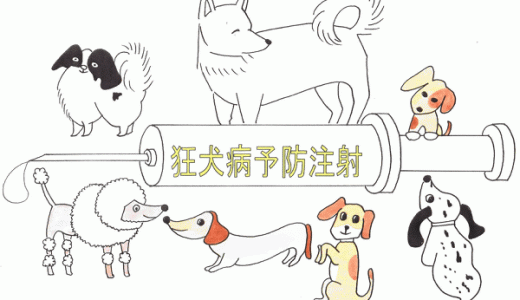 見直しませんか？ 狂犬病予防注射！