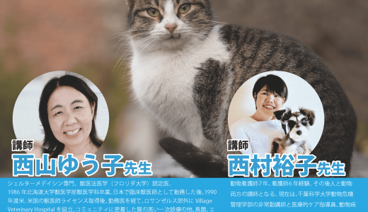 西山ゆう子先生、講演会のお知らせ(8/4)
