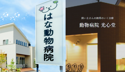 新しい仲間が増えました！