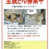 里親さん募集中