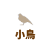 小鳥