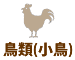 小鳥