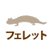 フェレット