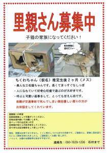 里親さん募集中